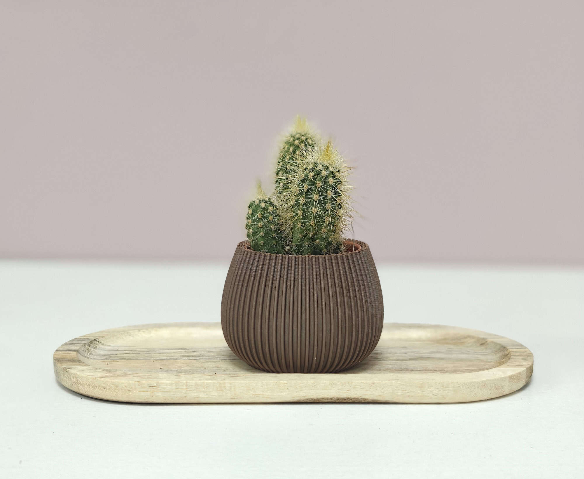 Nova Trio – set van 3 minimalistische bloempotjes - Afbeelding 7