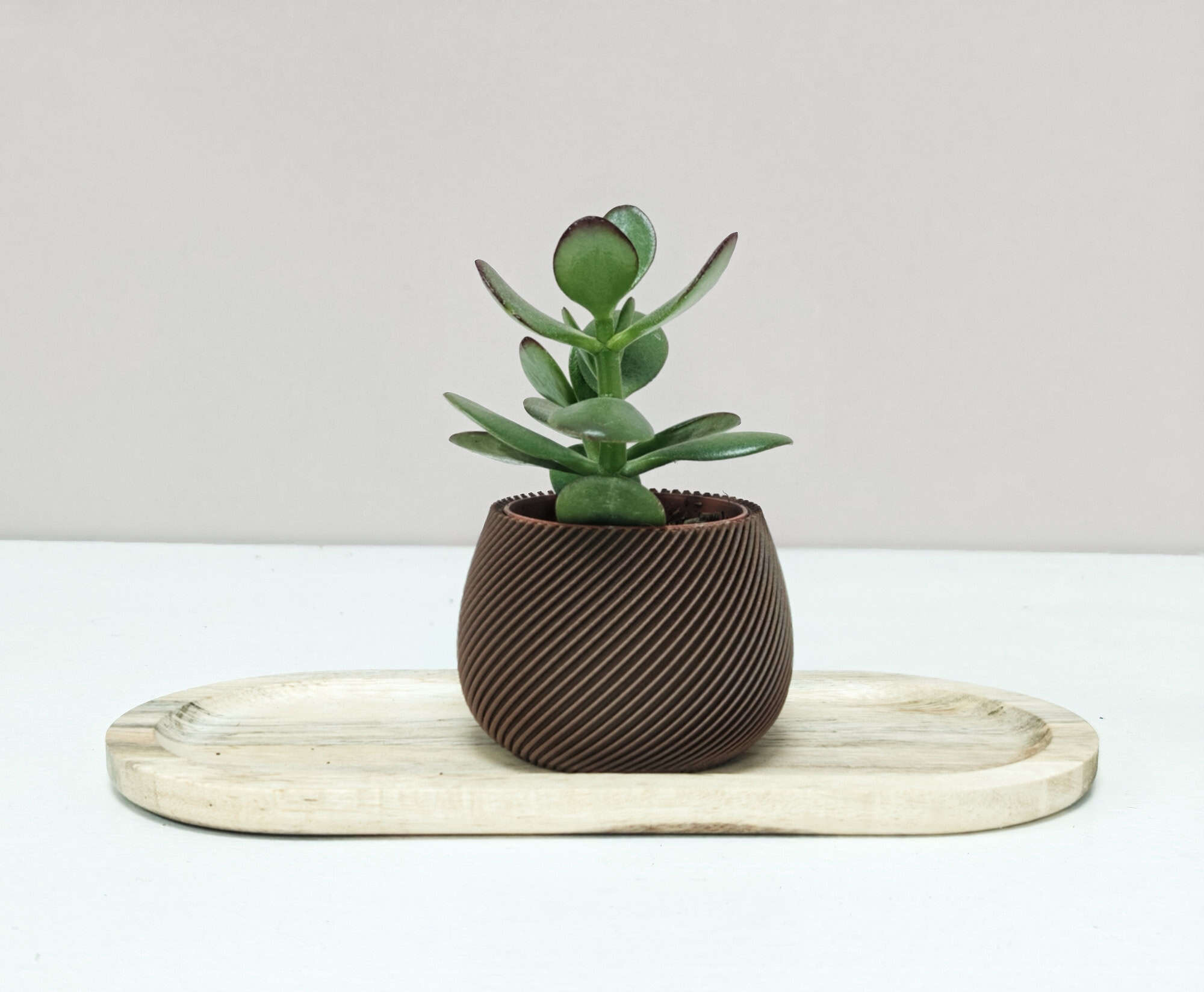 Nova Trio – set van 3 minimalistische bloempotjes - Afbeelding 3