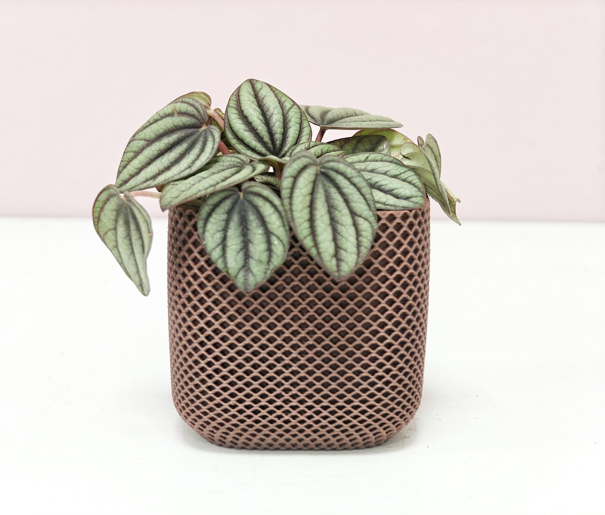Nova Trio – set van 3 minimalistische bloempotjes - Afbeelding 4