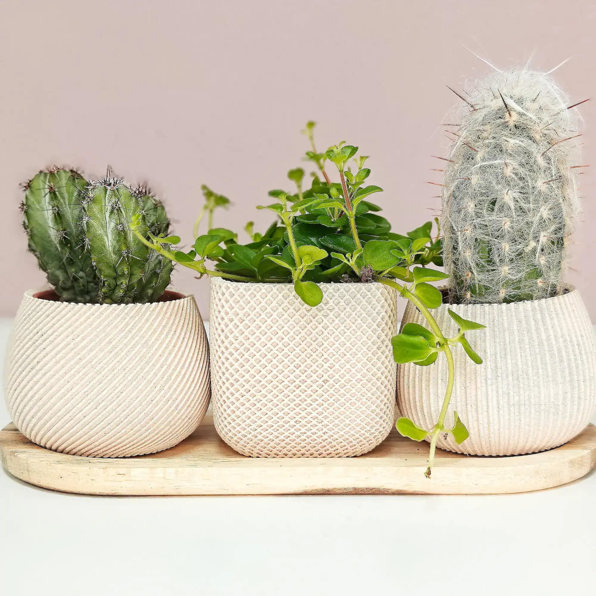 Nova Trio – set van 3 minimalistische bloempotjes