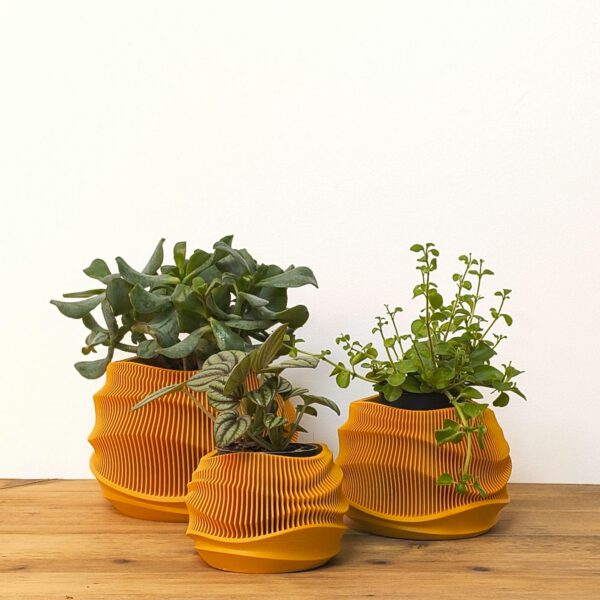 Dune Planter