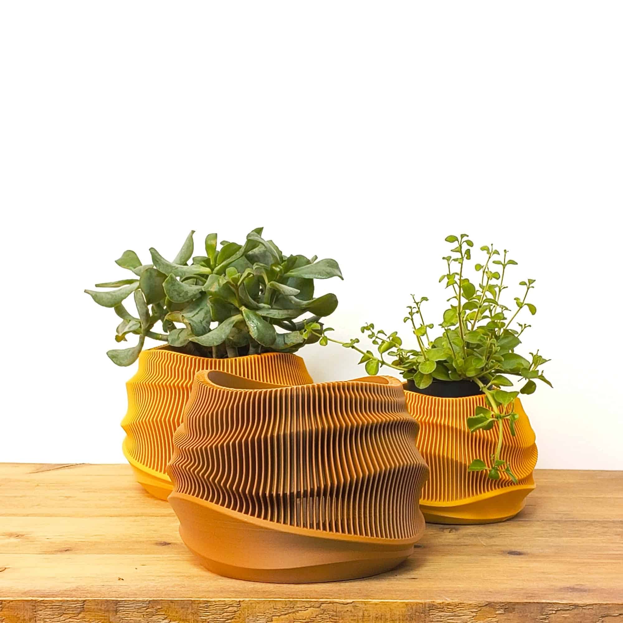 Dune Planter - Afbeelding 2