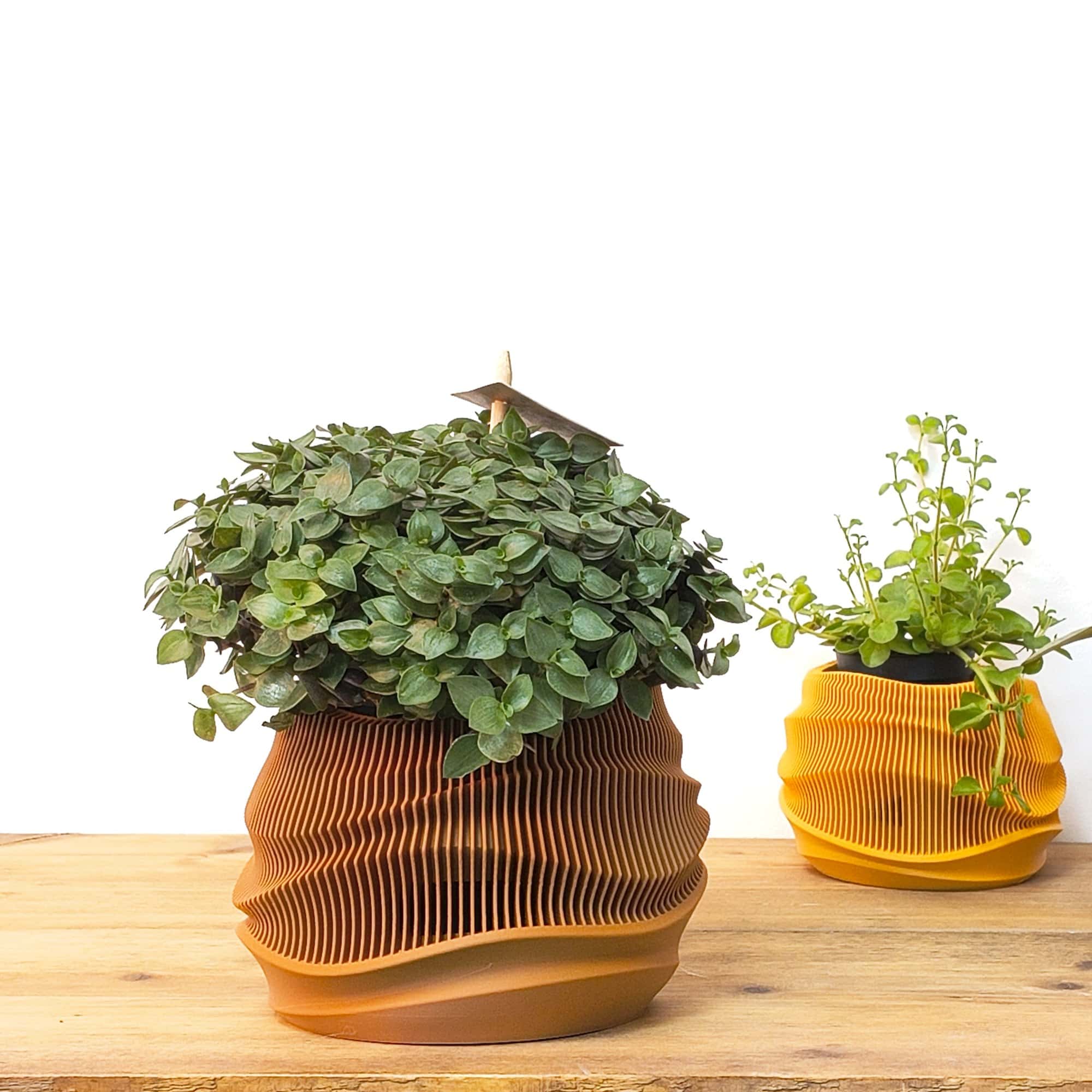 Dune Planter - Afbeelding 3