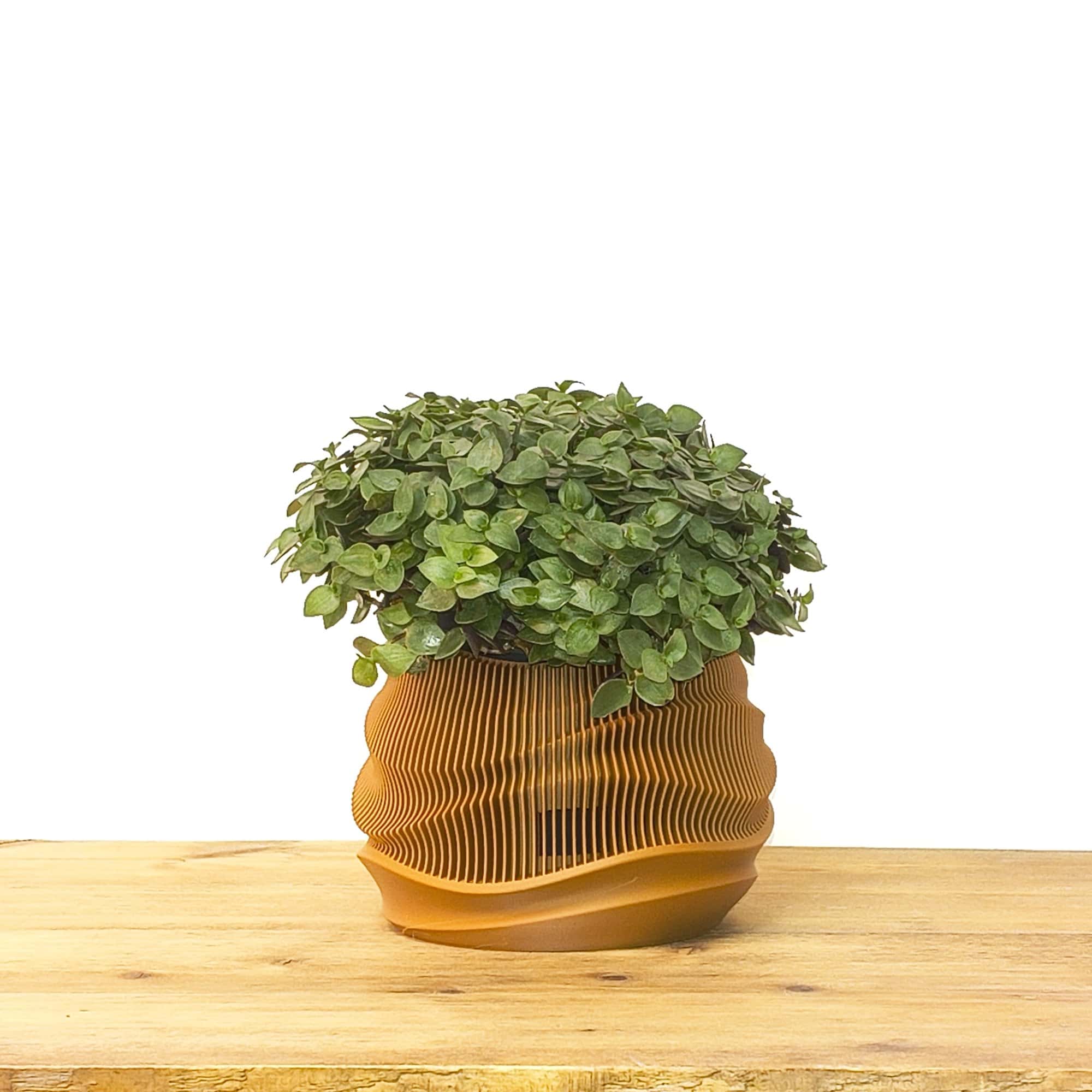 Dune Planter - Afbeelding 4