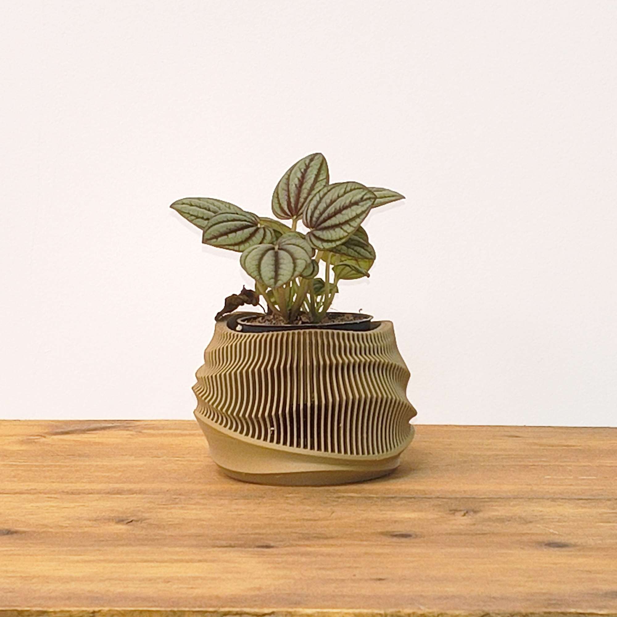 Dune Planter - Afbeelding 5