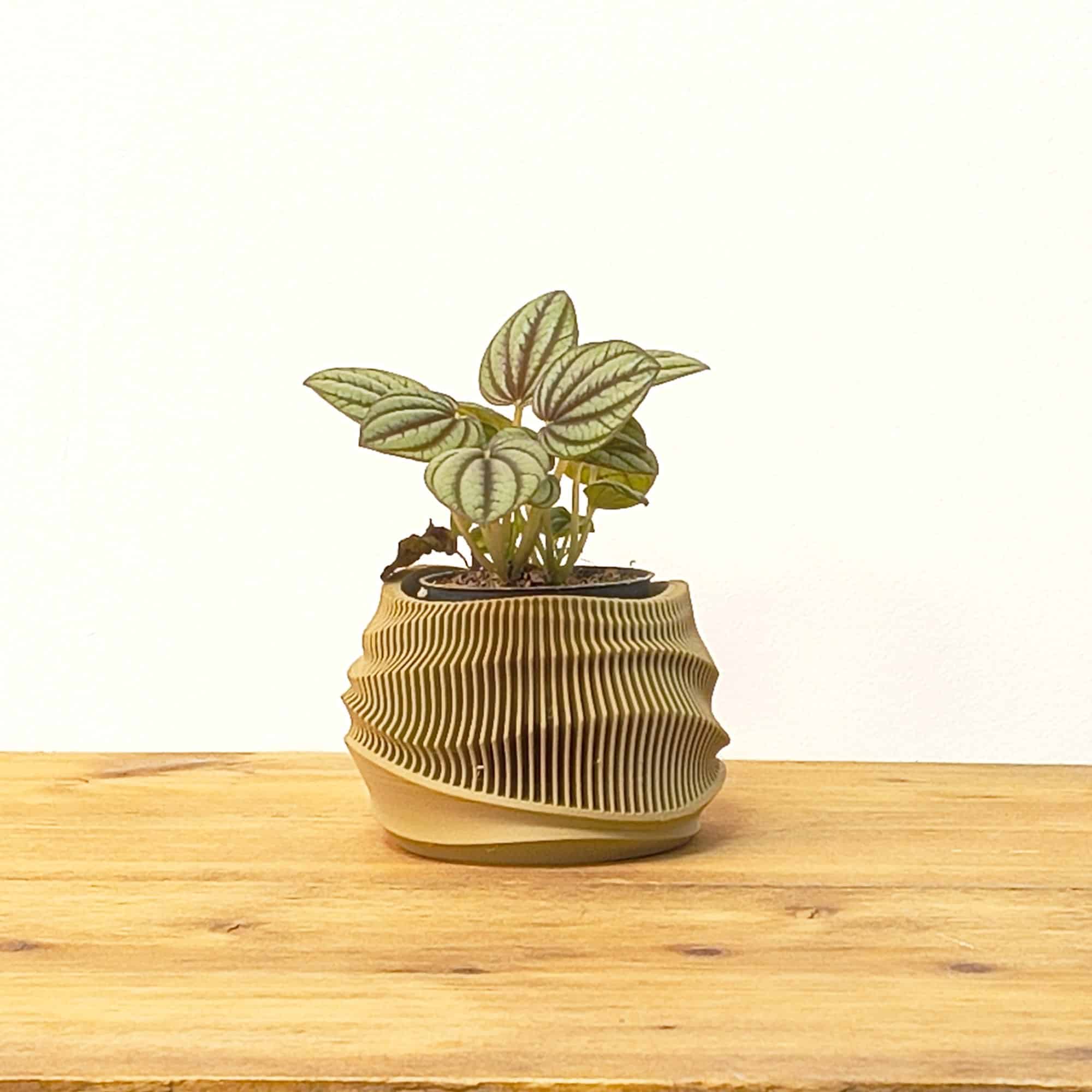 Dune Planter - Afbeelding 6