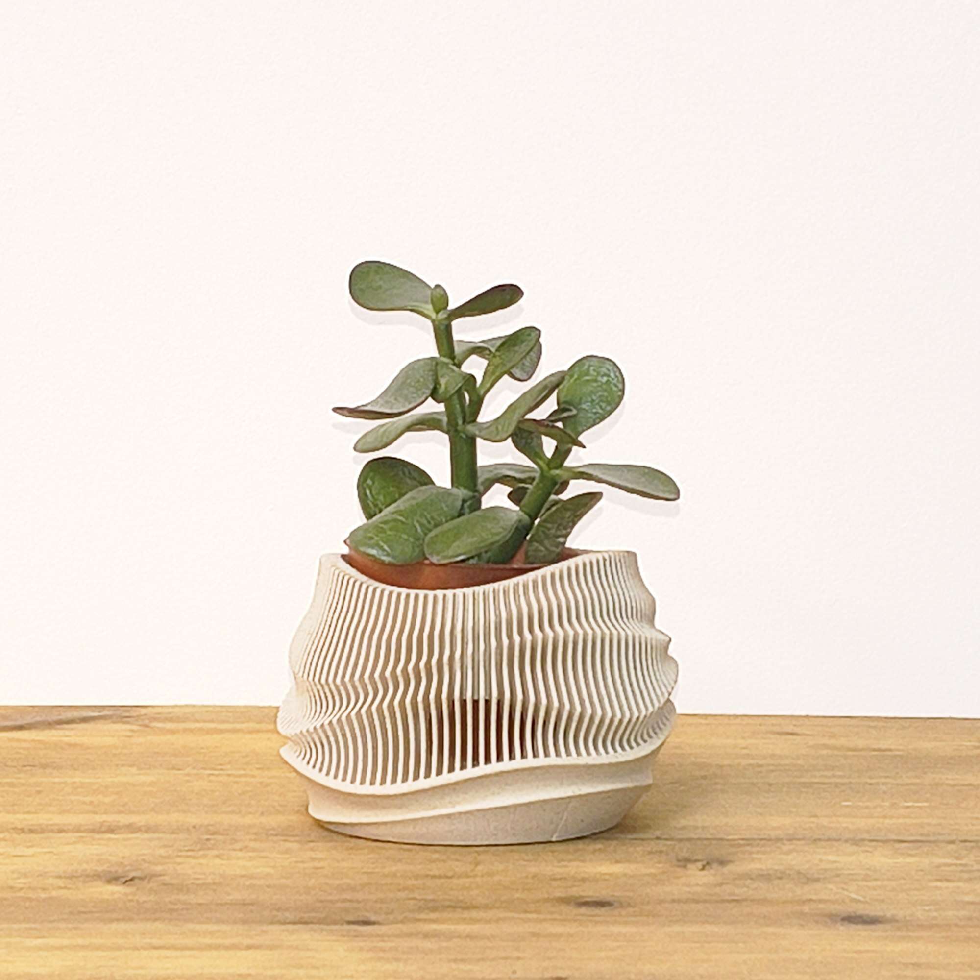 Dune Planter - Afbeelding 7