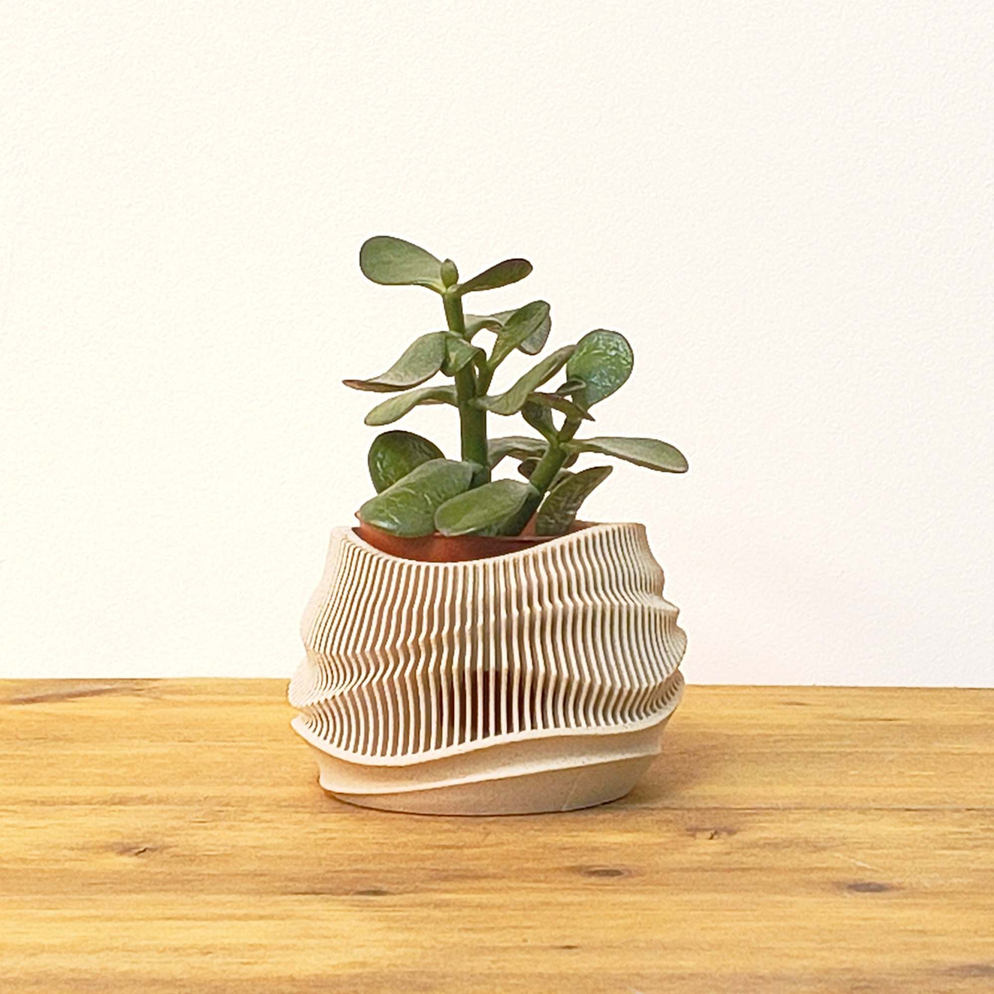 Dune Planter - Afbeelding 8